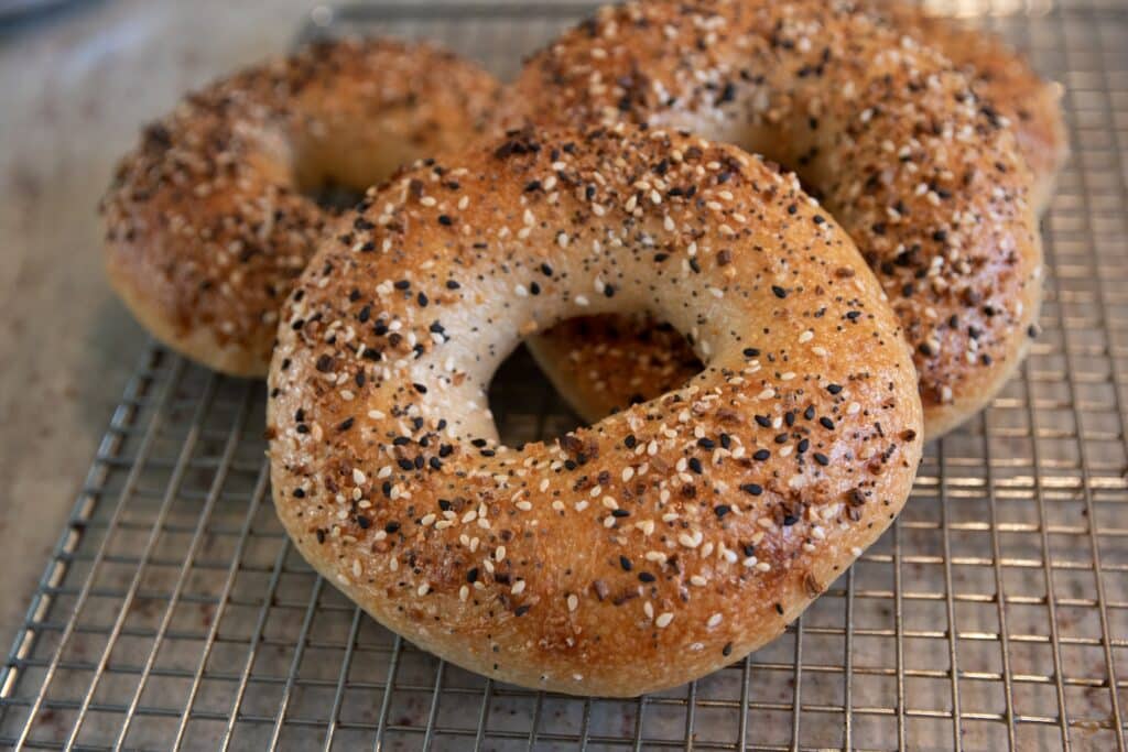 a montreal bagel